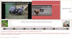 Desktop Screenshot of pintades.info